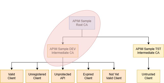 Self-signed certificates with highlighted CAs