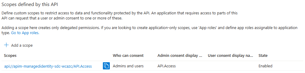 API Registration Scopes