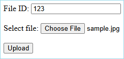 Test HTML form